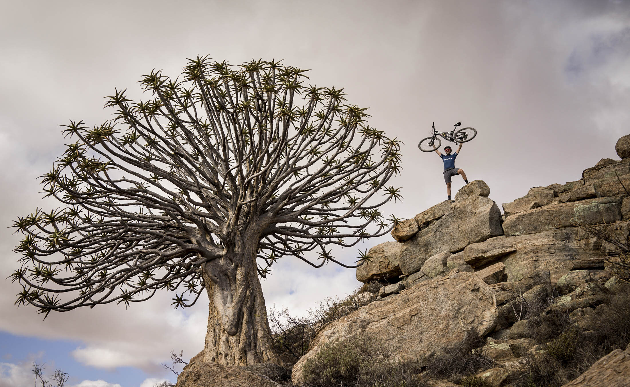 #NamaquaCoastalRoute #OpenAfrica